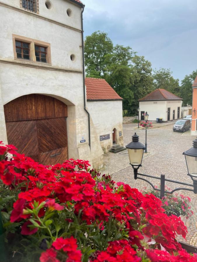 Pension Alt Naumburg Naumburg  Exteriér fotografie